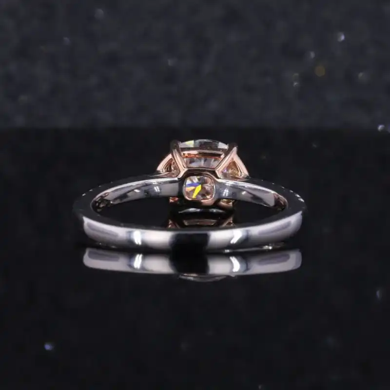 /public/photos/live/275 (1).webp